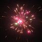 Breakout Roman Candle Cake (49 Shot)