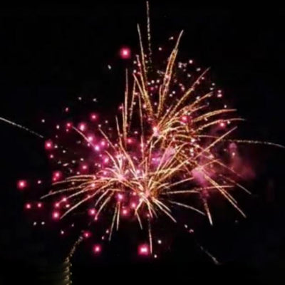 Twisted Twins (200 Shot)